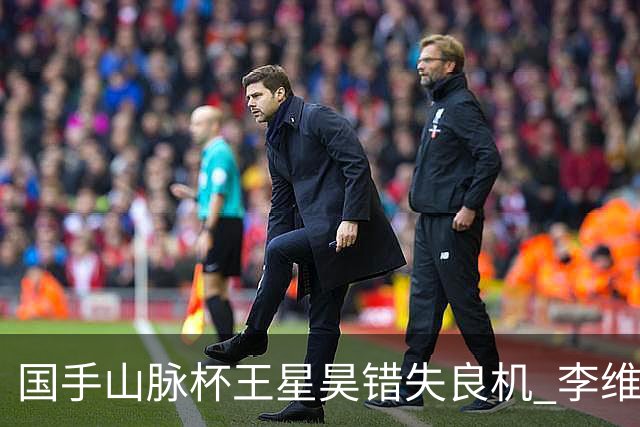 国手山脉杯王星昊错失良机 李维清三连胜将与申真谞争冠