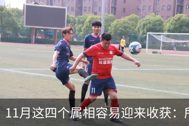 11月这四个属相容易迎来收获：所有惊喜，都是长期默默耕耘的结果
