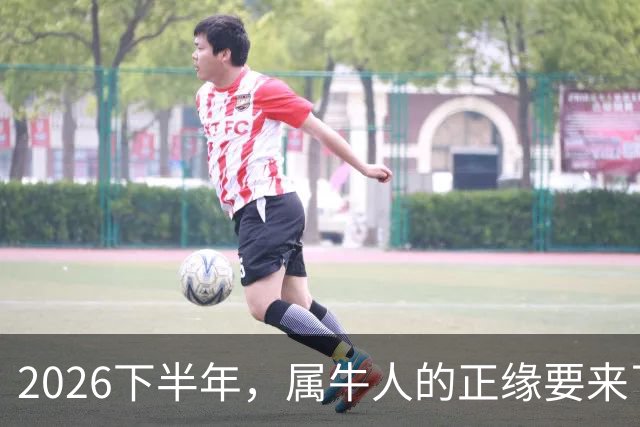 2026下半年，属牛人的正缘要来了，这两个月最关键！